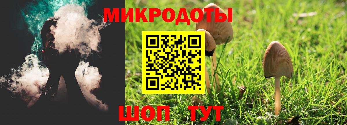 Псилоцибиновые грибы Psilocybe  Галлюциногенные грибы прущие грибы  Азнакаево  Вход с VPN 
